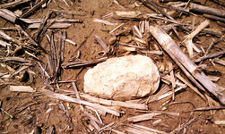 stone_axe_insitu.png