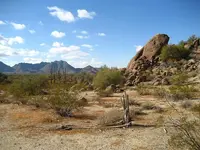 800px-Sonoran_Desert_33_081359_n112_431507.webp