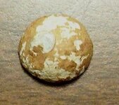 musketball_fronthalf.jpg