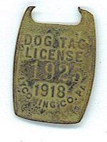 Dog tag.jpg