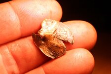 NH FINDS 05-05 011.jpg