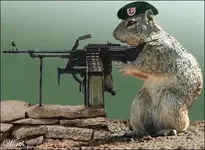 SquirrelMachineGun.webp