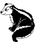 animated-gifs-skunks-11.gif