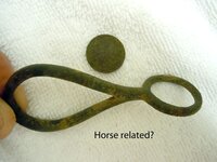 horsetack1.jpg