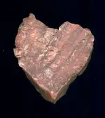 1847 Heart Stone...Monarch.webp