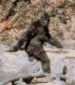 Bigfoot.jpg