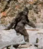 Bigfoot.webp