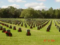 cemetery florida.webp