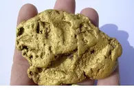 Gold Nugget.webp