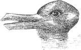 thumbnail.jpgx duck rabbit illusion.jpeg