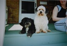 Timmy & Kirby - August 2003.jpg