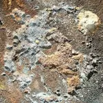 What Is It Petroglyph from forum 8-2011.webp