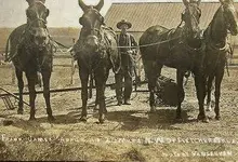 Frank James Fletcher, Oklahoma Postcard - Sold For $560.webp