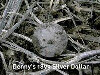 Denny\'s 1899 Silver Dollar.jpg