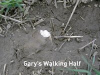 Gary\'s Walking Half in mud.jpg