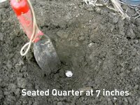 Seated Quarter at 7 inches.jpg