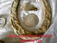 Mule Shoe, Silver Dollar & 1950 Dog Tag.jpg