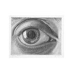 Eyeball Illustration.jpg
