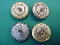 CW Confederate buttons found backs.webp