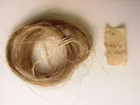 CW lock of hair & paper closeup 2.webp