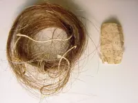 CW lock of hair & paper closeup.webp