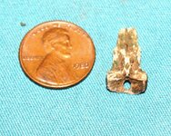 10 09 finds tooth 2.JPG