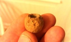 IMAG0565musketball.jpg