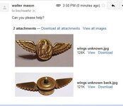 wings email.jpg