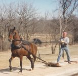 Dad with Knight and stoneboat.jpg