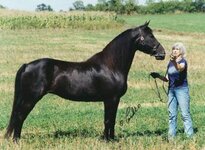 WhiteWillowDuskyKate And Mom.jpg