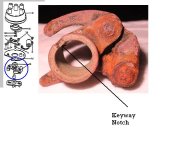 Distributor Timing Advance Weight.JPG