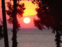 sun set.gif