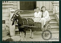 alberta-goat-cart-susan-maxwell-skinner-840x600-550x392.jpg