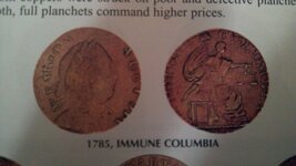 immune 1785a.jpg