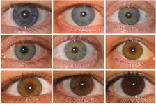 eyes-400[1].jpg