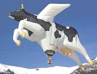 when cows fly.jpg