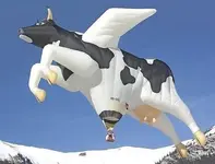 when cows fly.webp