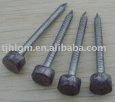 Lead_Head_Nail[1].jpg