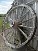 wagon_wheel[1].webp