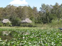 big cypress 10_30_2010 004.webp