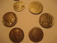 coin pic for treasure net.webp