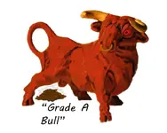 Bull.webp