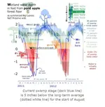 Swamp Gold Hydrolgy water levels.webp