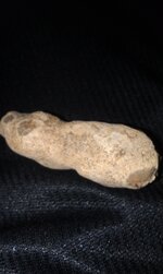 close up peanut fossil 2.jpg