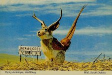 2_Jackalope_Flying_PC_2.jpeg