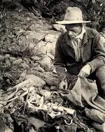 Tex Barkley with Ruth's remains.webp