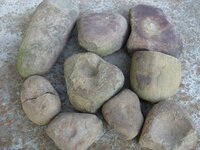 Nutting stones 002.jpg