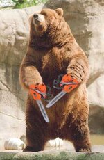 chainsaw-bear.jpg