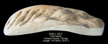 shell_celt_large.JPG