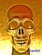 skull etc 018-2.webp